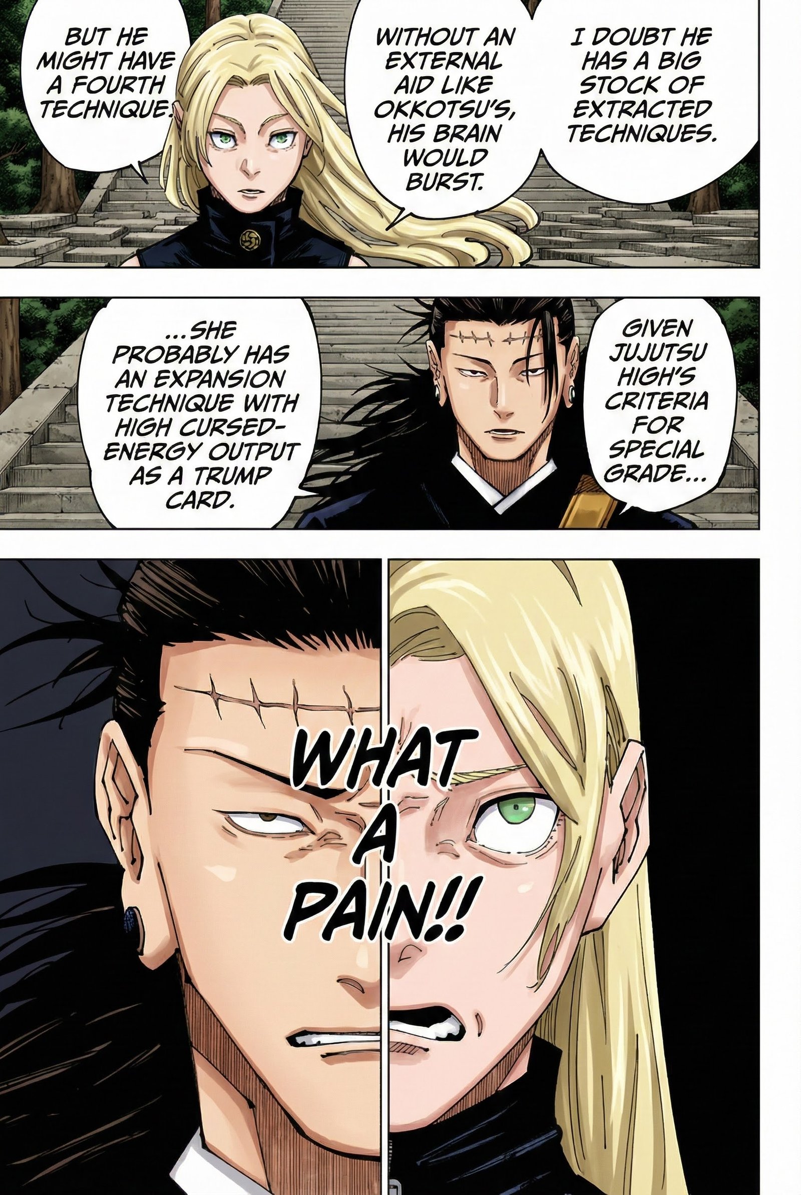 Jujutsu Kaisen Chapter 205 Page 16 - Colored Manga Panel