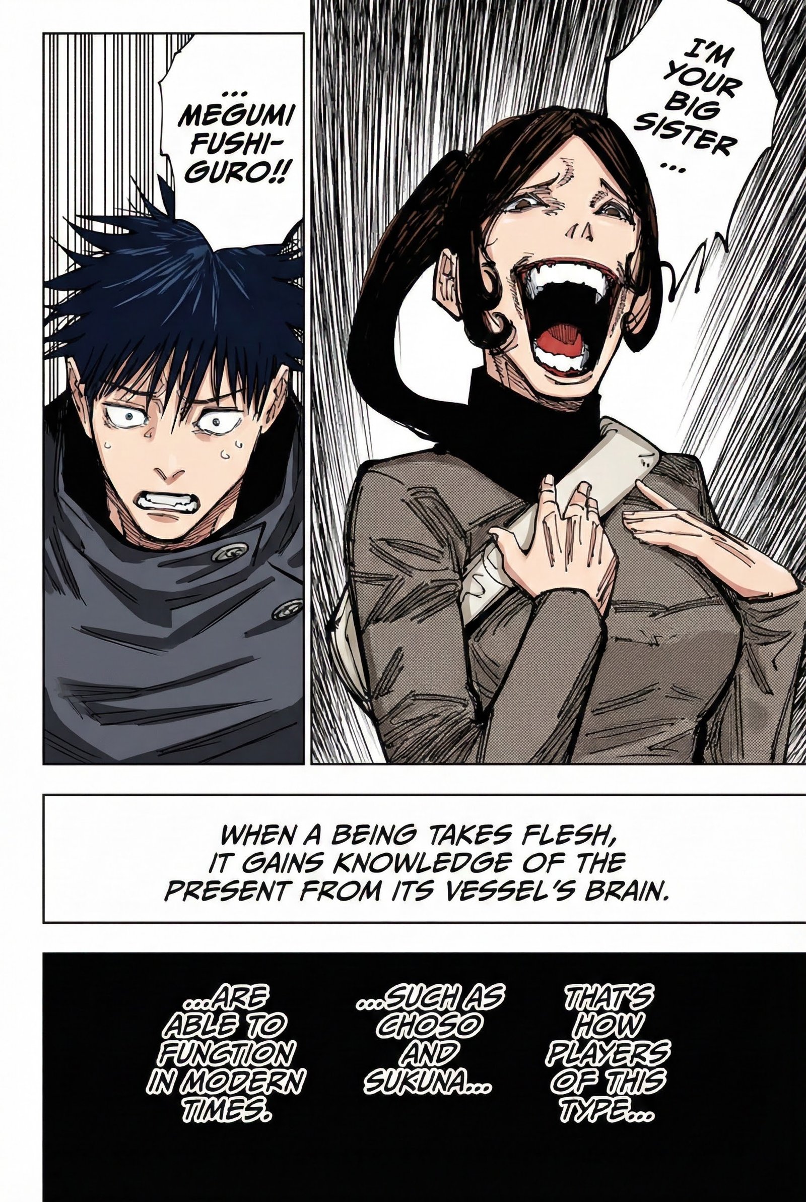 Jujutsu Kaisen Chapter 212 Page 6 - Colored Manga Panel