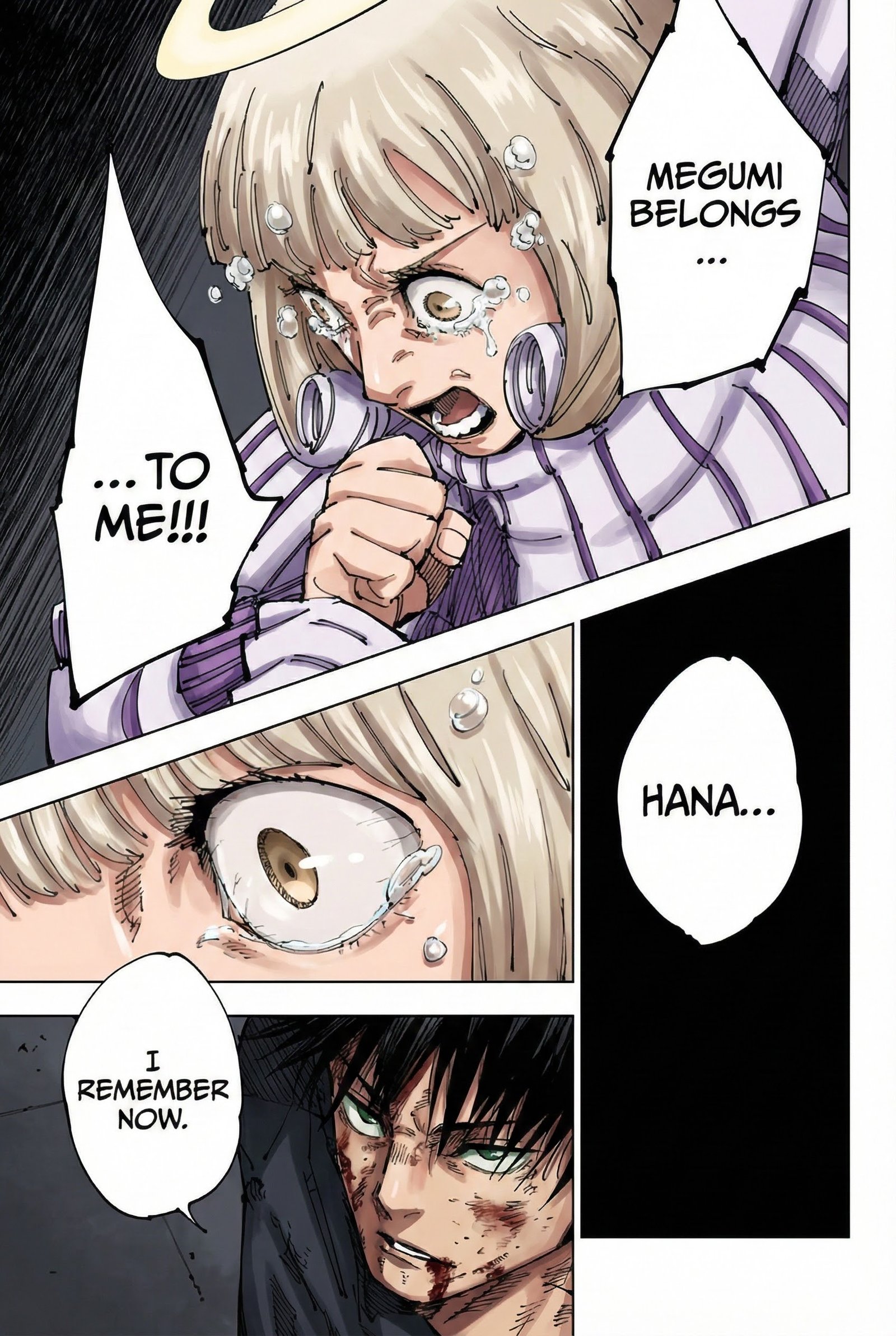 Jujutsu Kaisen Chapter 213 Page 17 - Colored Manga Panel