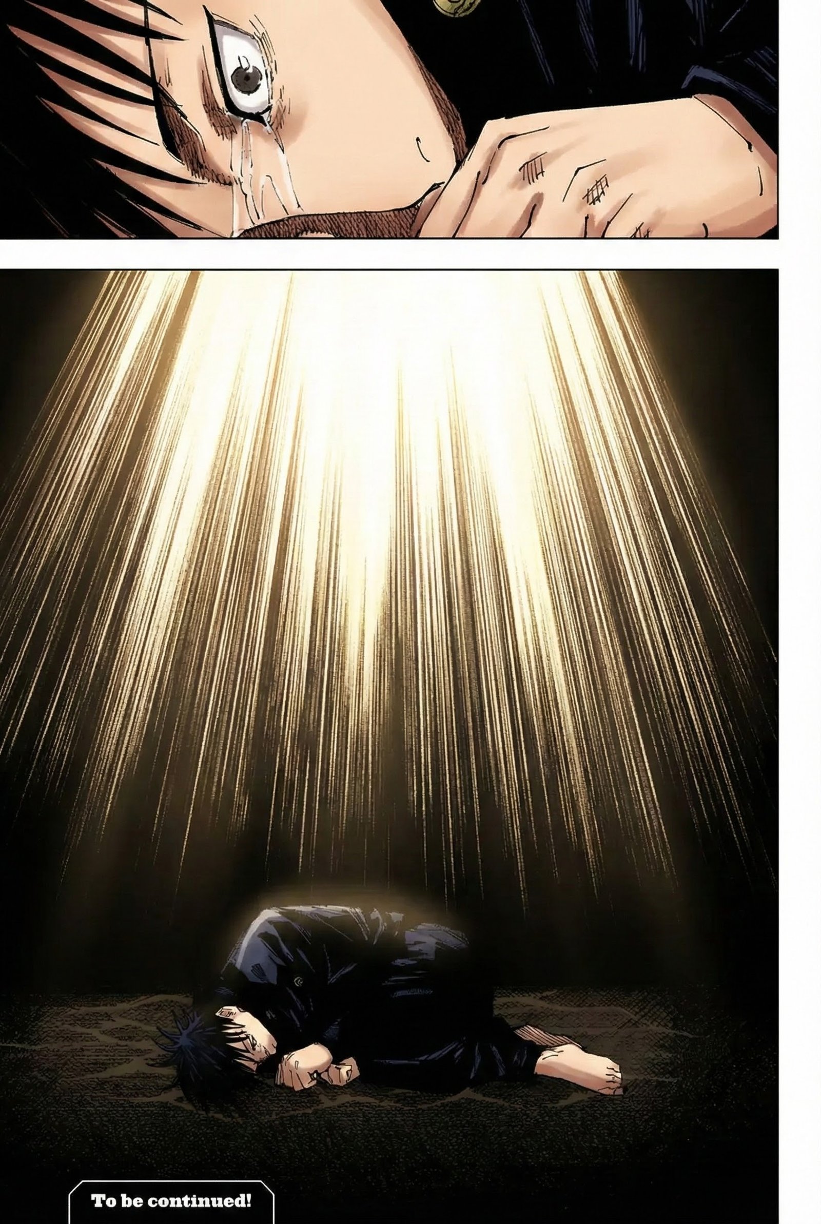 Jujutsu Kaisen Chapter 219 Page 19 - Colored Manga Panel