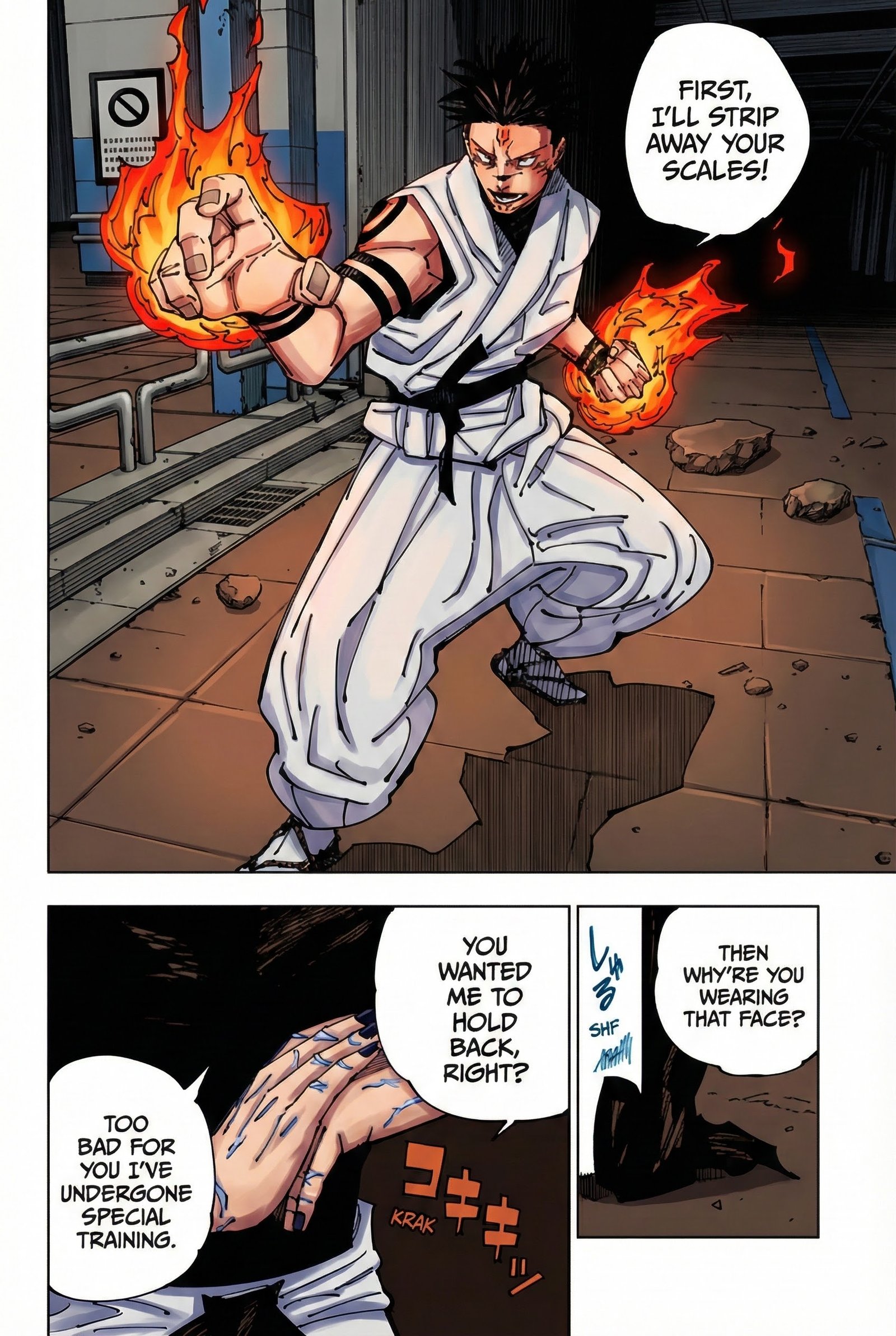 Jujutsu Kaisen Chapter 224 Page 2 - Colored Manga Panel