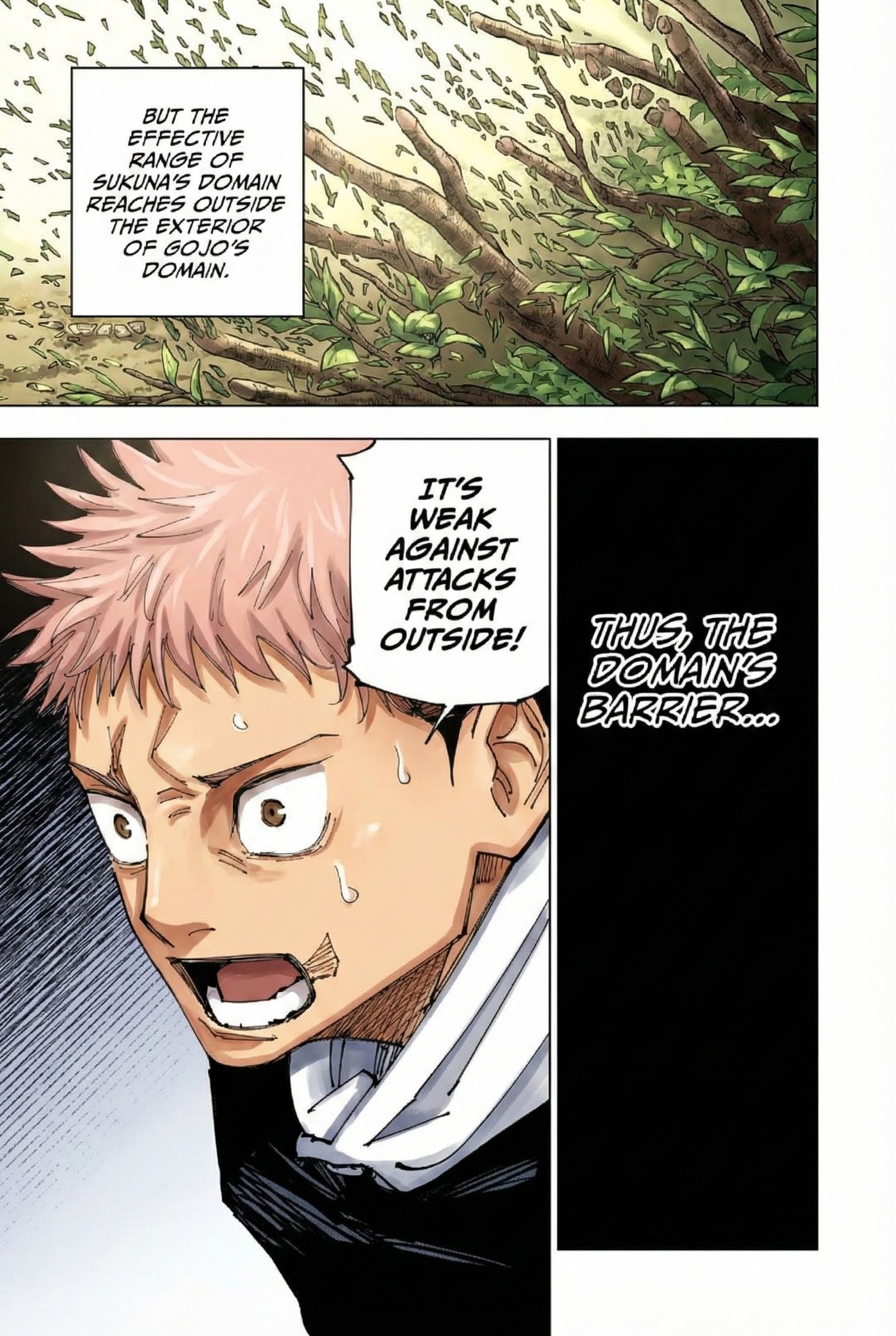 Jujutsu Kaisen Chapter 225 Page 15 - Colored Manga Panel