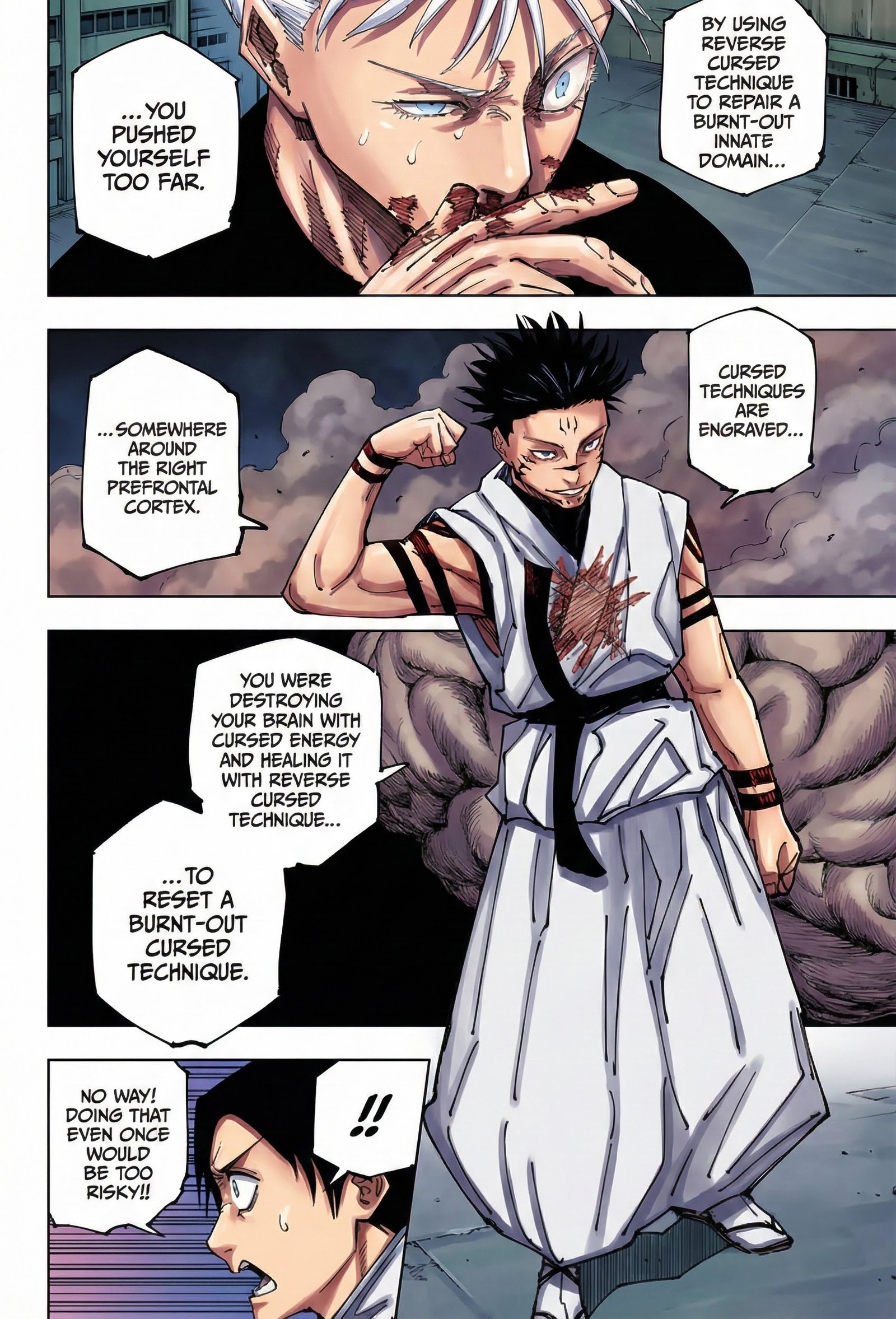 Jujutsu Kaisen Chapter 230 Page 10 - Colored Manga Panel