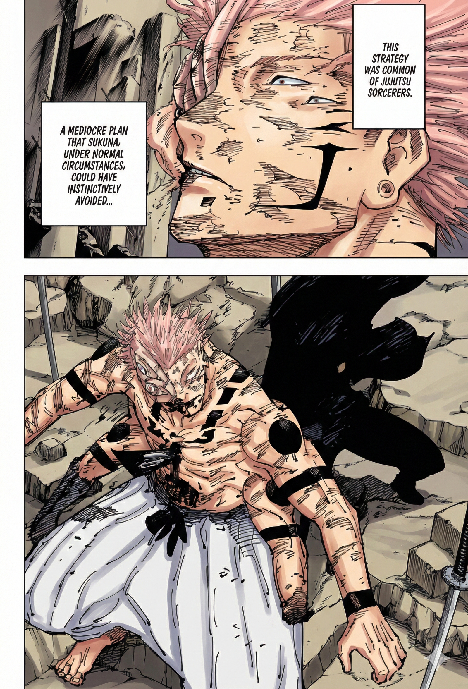 Jujutsu Kaisen Chapter 251 Page 17 - Colored Manga Panel