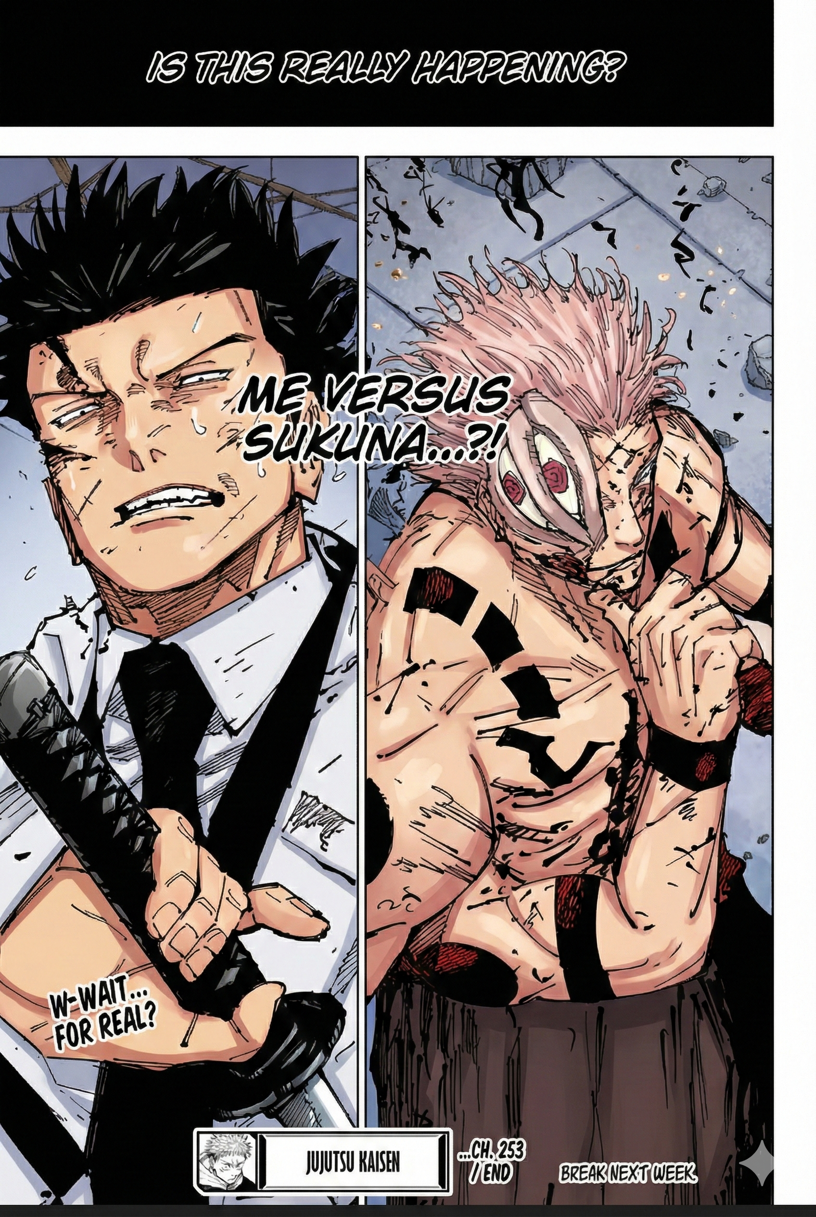 Jujutsu Kaisen Chapter 253 Page 19 - Colored Manga Panel