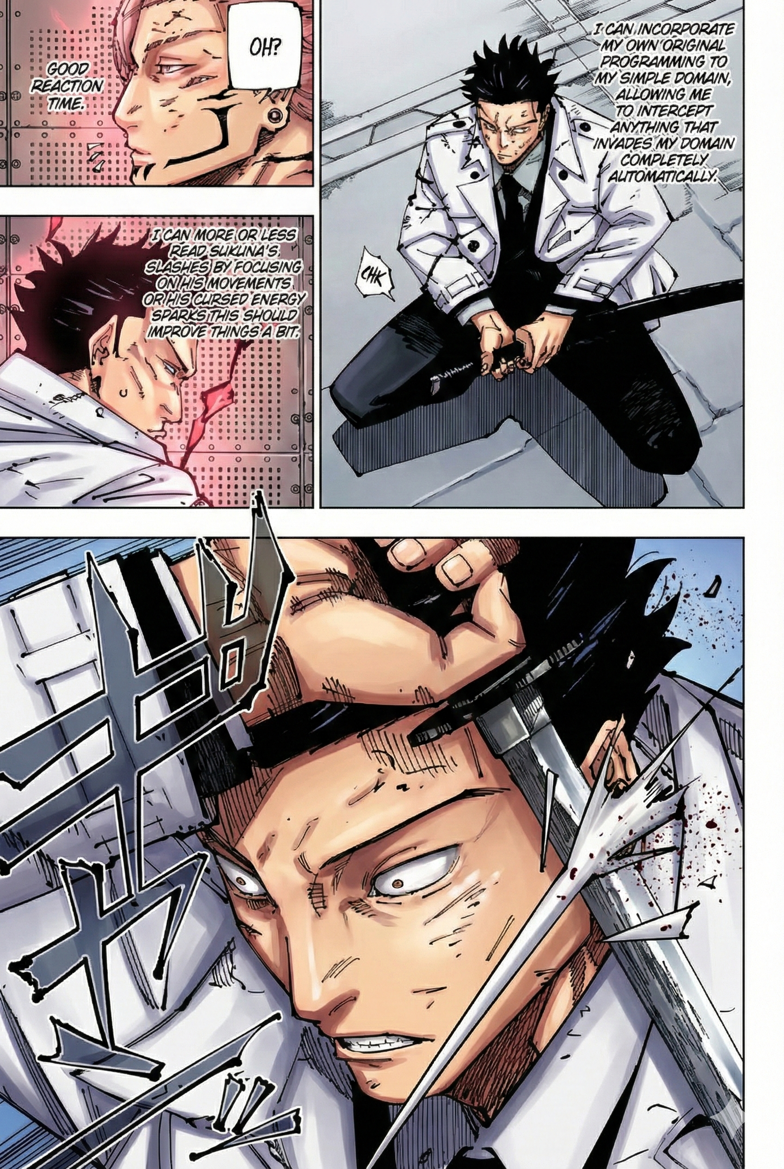 Jujutsu Kaisen Chapter 254 Page 3 - Colored Manga Panel