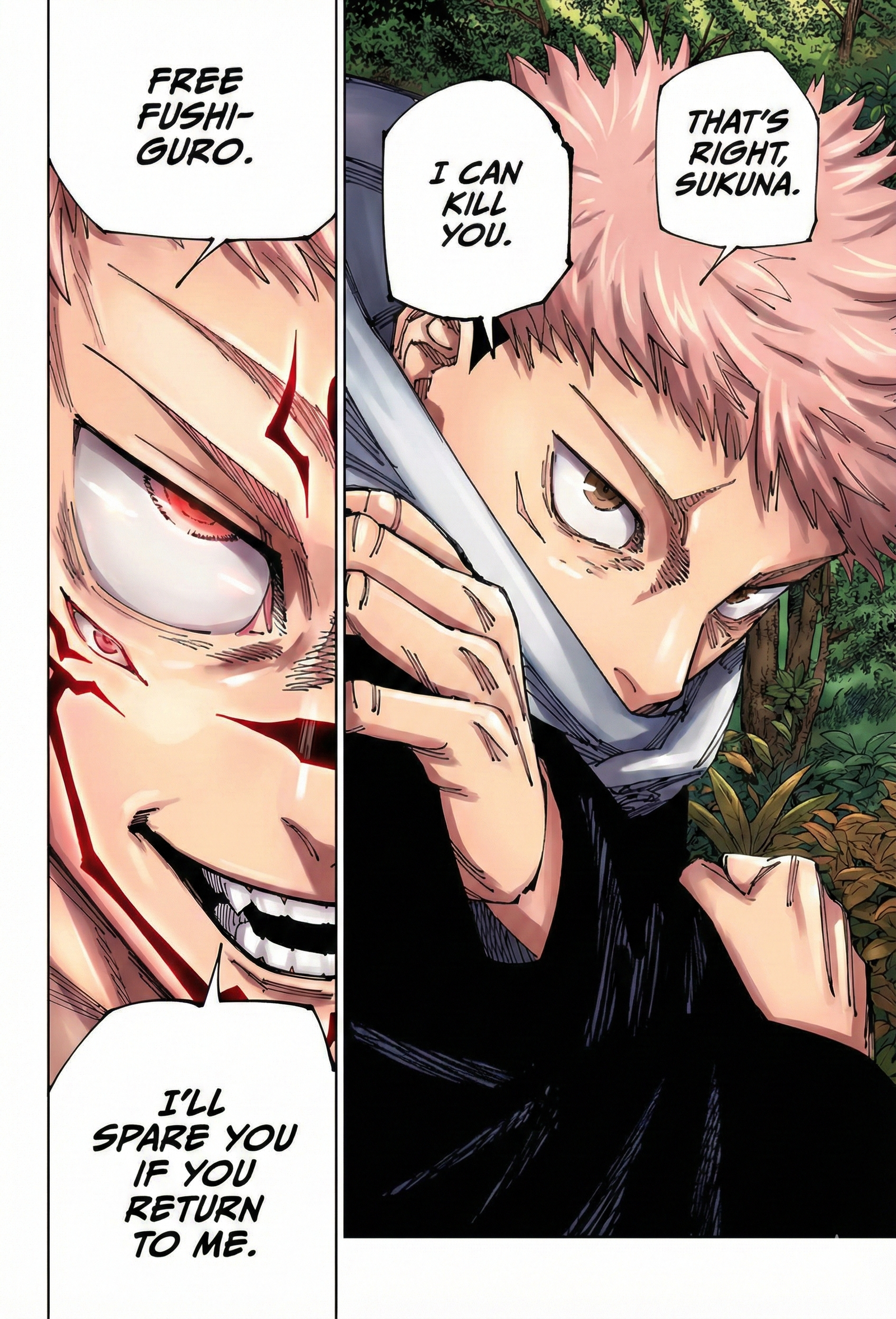 Jujutsu Kaisen Chapter 265 Page 18 - Colored Manga Panel