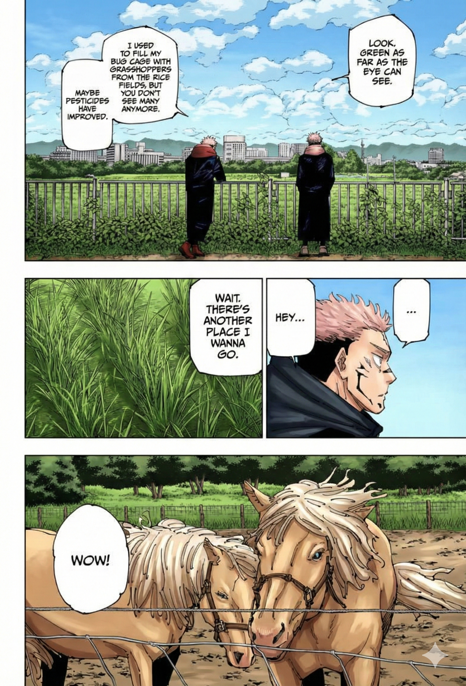 Jujutsu Kaisen Chapter 265 Page 6 - Colored Manga Panel